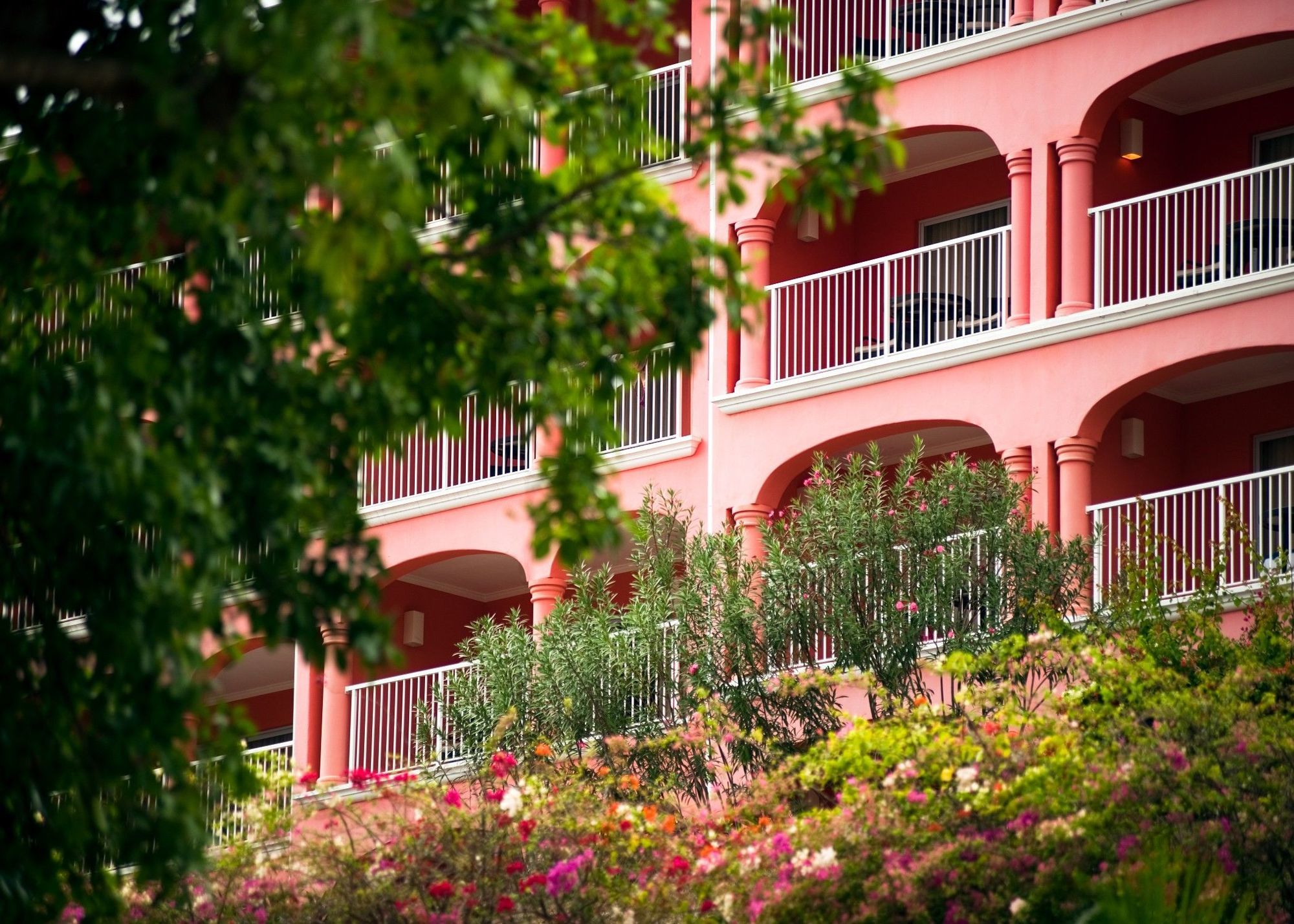 Secrets Saint Lucia Resort & Spa (Adults Only) Gros Islet Eksteriør bilde
